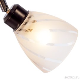 Потолочный светильник 37551A/4BK+CR WT - Потолочный светильник 37551A/4BK+CR WT