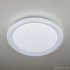 Потолочный светодиодный светильник с пультом 40013/1 LED белый - Потолочный светодиодный светильник с пультом 40013/1 LED белый