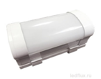 Светодиодный светильник Ledflux LF-NK05-10WW IP65 